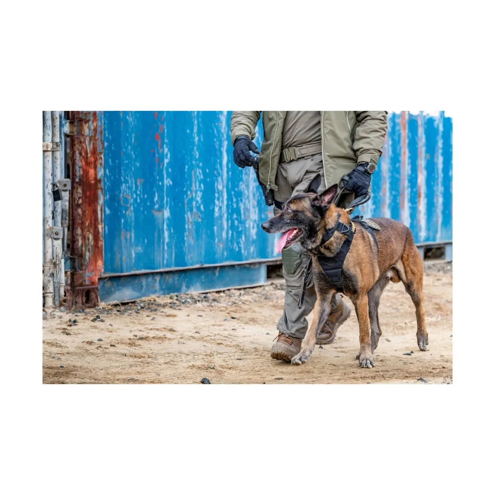 5.11 - AROS K9 Hundehalsbånd Bred // Sort - Image 9