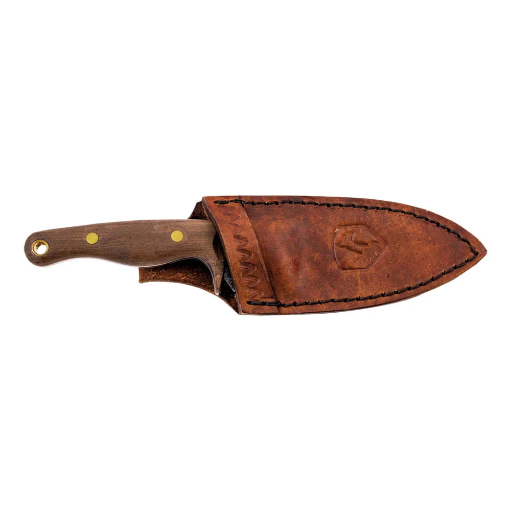 Condor - Kimen Kniv - Image 2