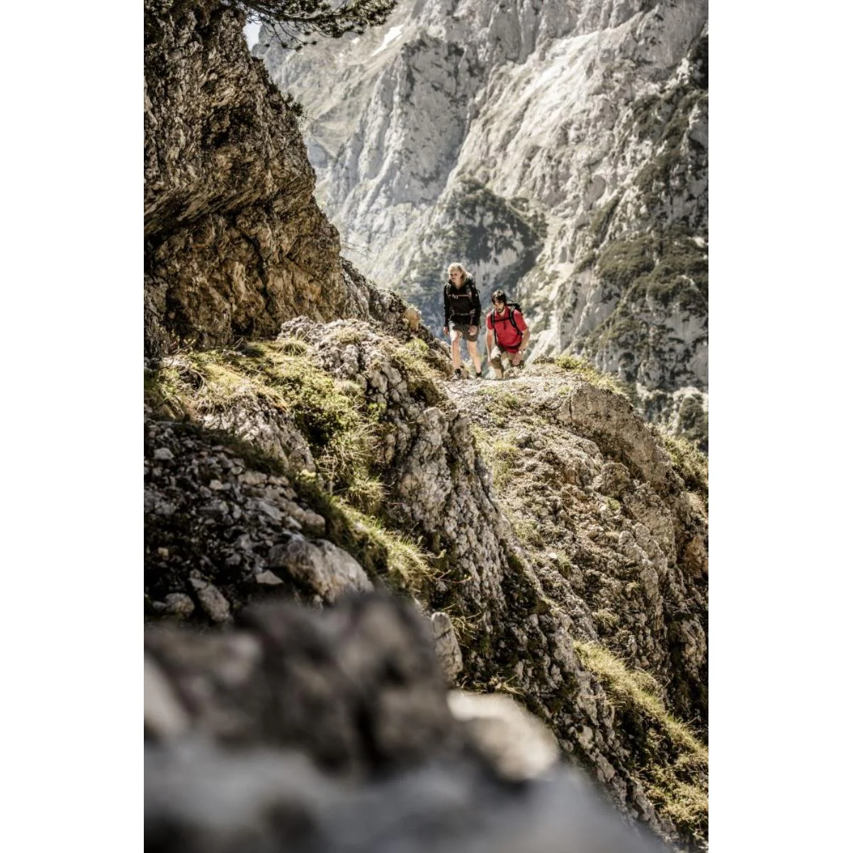 Hanwag - Tatra Top Wide GORE-TEX Vandrestøvler - Image 5
