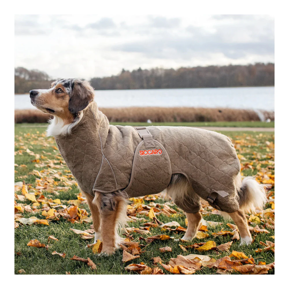 Siccaro - Solution Hunde Tørredragt // Sand - Image 2